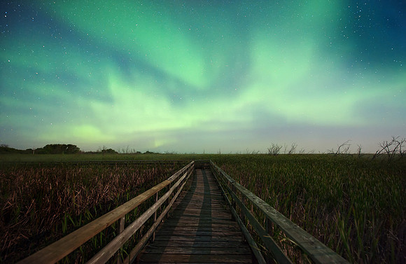 Marsh Aurora (2013)